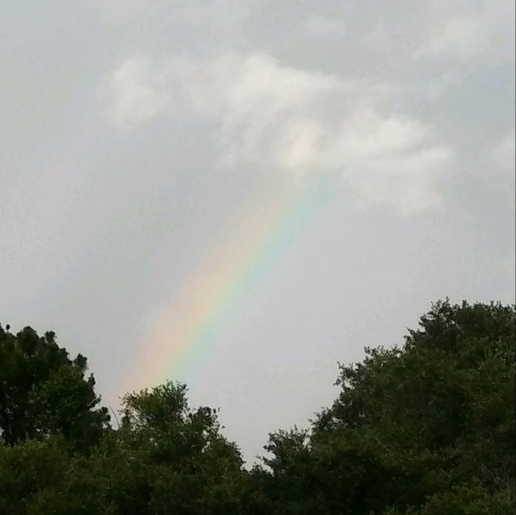 Meet your Posher, Janee - Picture 1 of 1